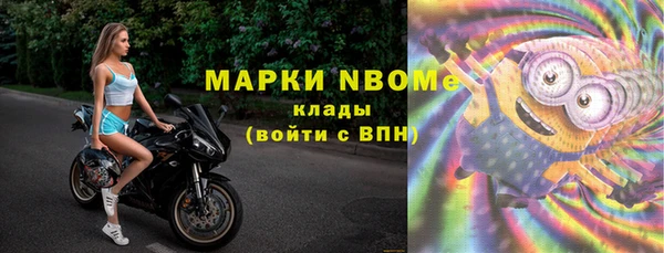 индика Белокуриха