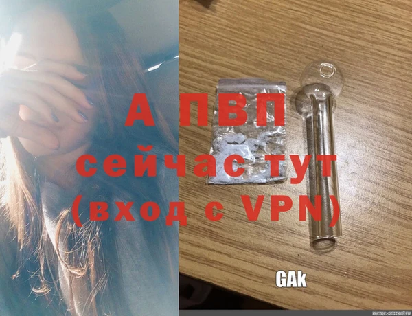 стаф Белоозёрский